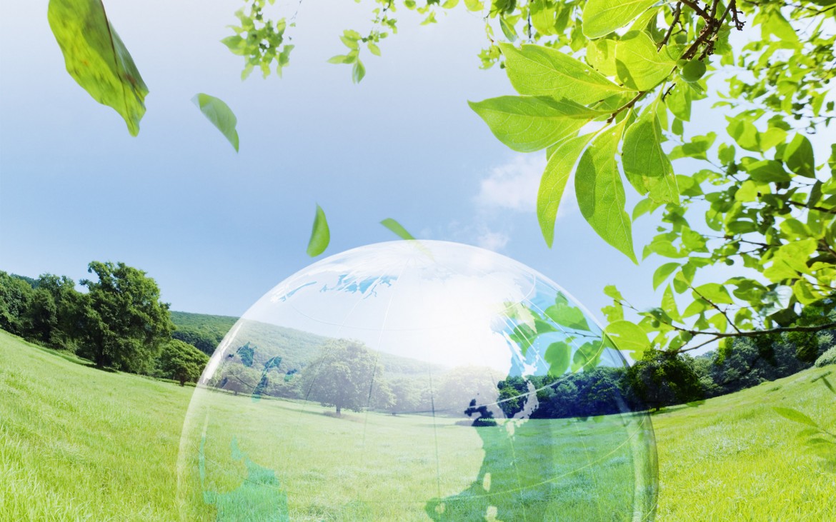 Declaración del Partido Humanista Internacional  con motivo del Día Mundial del Medio Ambiente