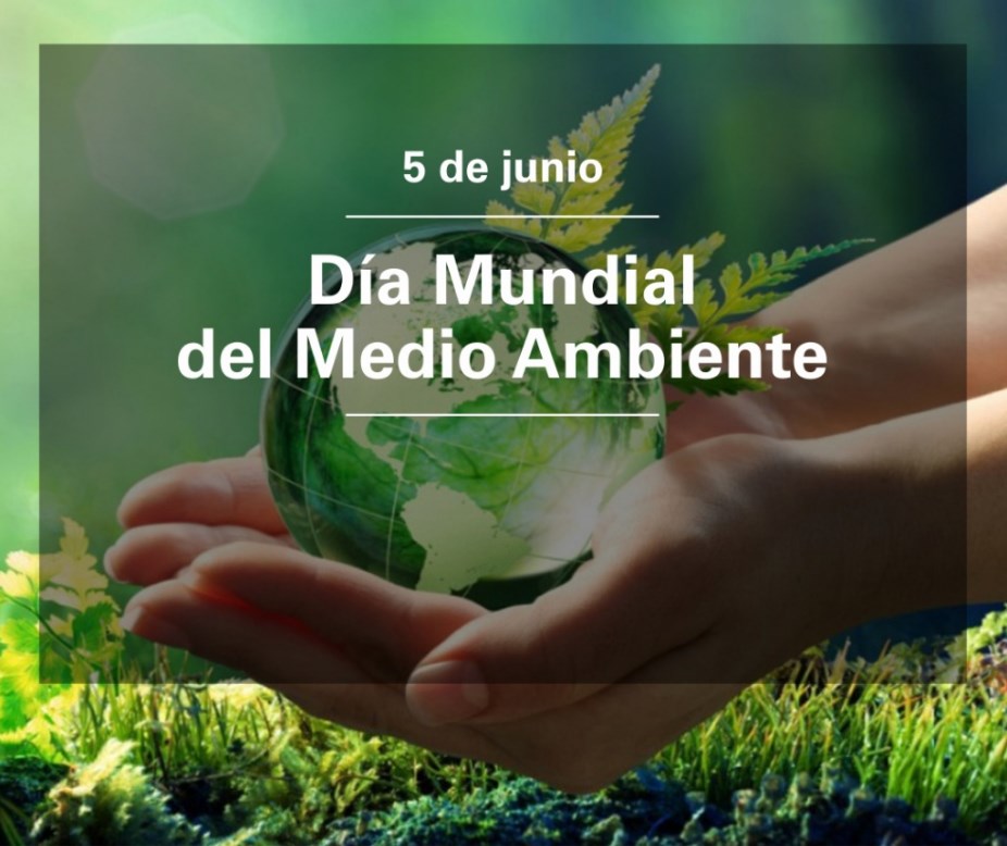 Efemérides 5 de Junio: Indio Solari. Terremoto Lorca Argerich Binner Maradona Ramone Agüero Bradbury Día Mundial del Medio Ambiente