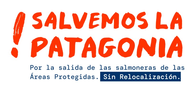 Chile. Empresa china Joyvio constata práctica ilegal de la salmonicultura:  “La mayoría de las empresas sobreproducían en diversos grados”
