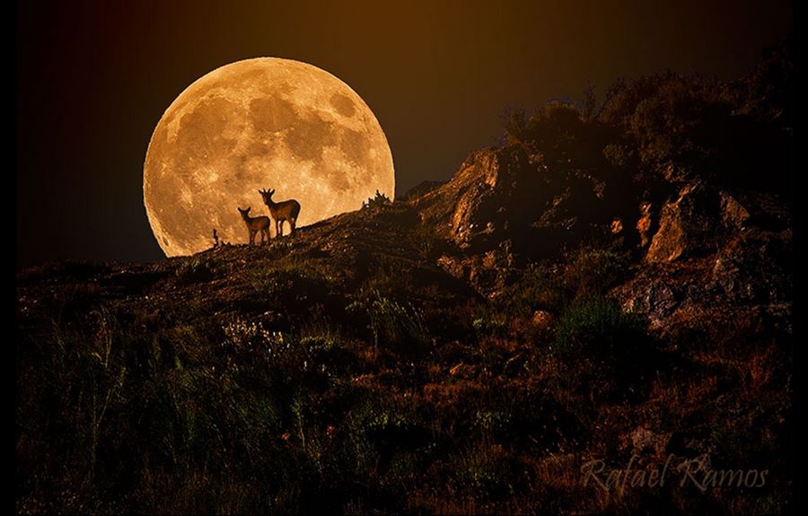Los nombres de las lunas llenas, mes por mes