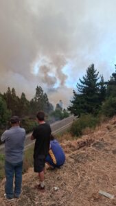 La mala memoria: un factor de riesgo detrás de los incendios de Penco