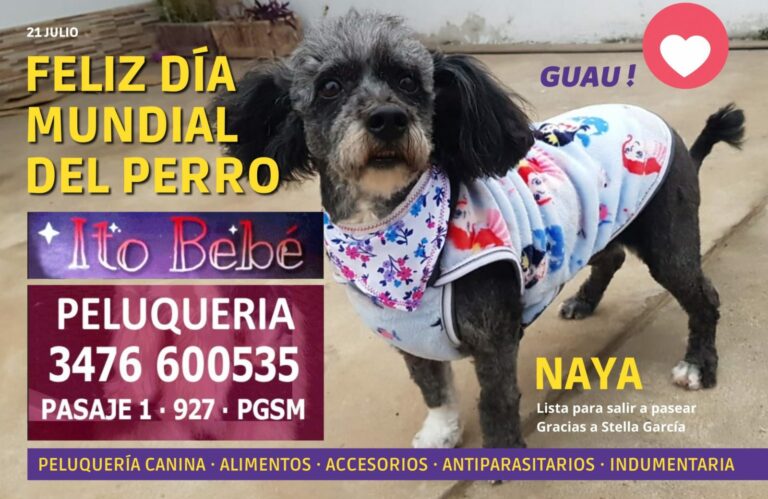 Día Mundial del Perro: principales enfermedades que tenés que conocer