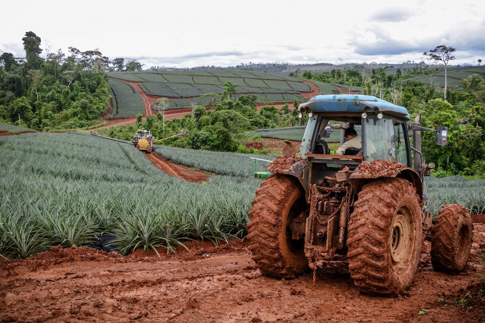 Defender el ambiente y … ser demandado: el caso de JuamBa con relación a las «demandas estratégicas contra la participación pública» (SLAPP) en Costa Rica