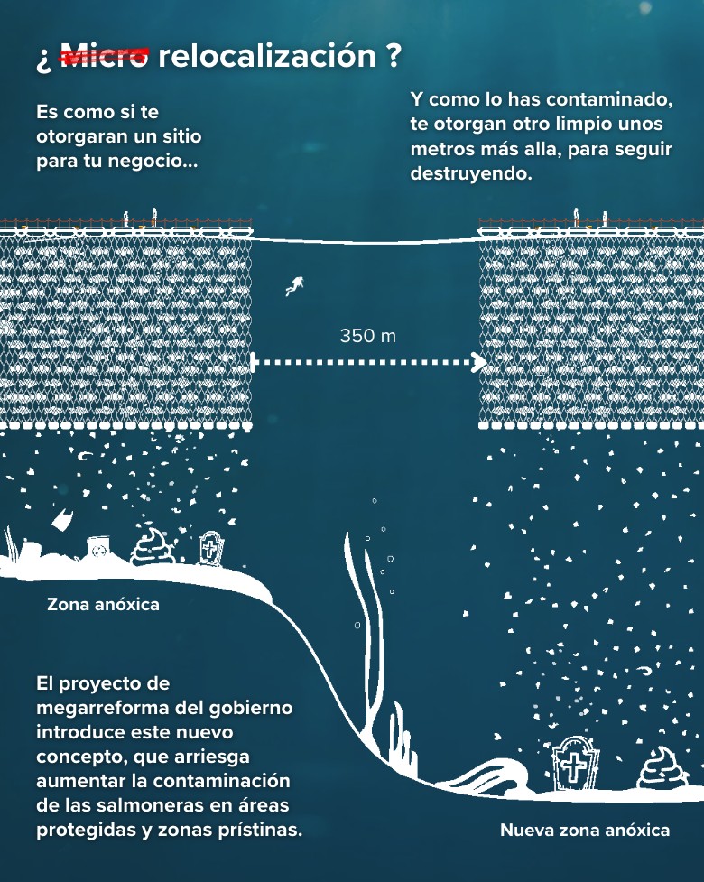 ONGs rechazan flexibilización de estándares ambientales para la industria salmonera en Chile