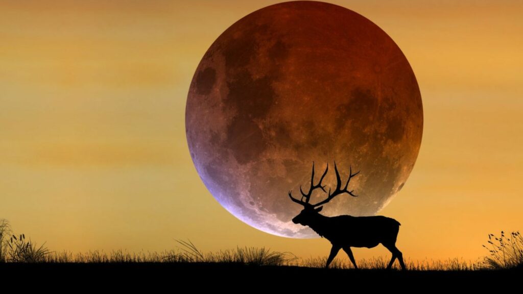 La Luna de Ciervo ya está aquí: estos son los rituales que muchas personas hacen cada julio