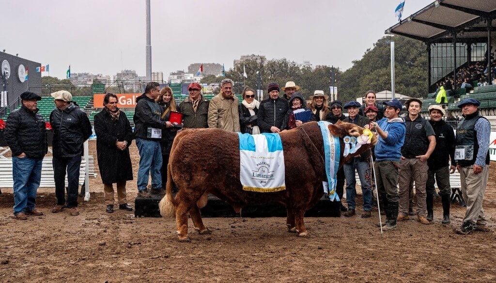Los Limangus pisaron fuerte en La Rural: confirmaron su calidad carnicera, liderando el Block Test