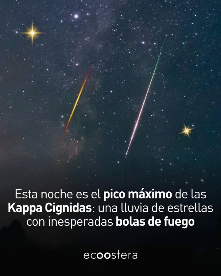 Kappa Cígnidas: la lluvia de meteoros misteriosa de agosto