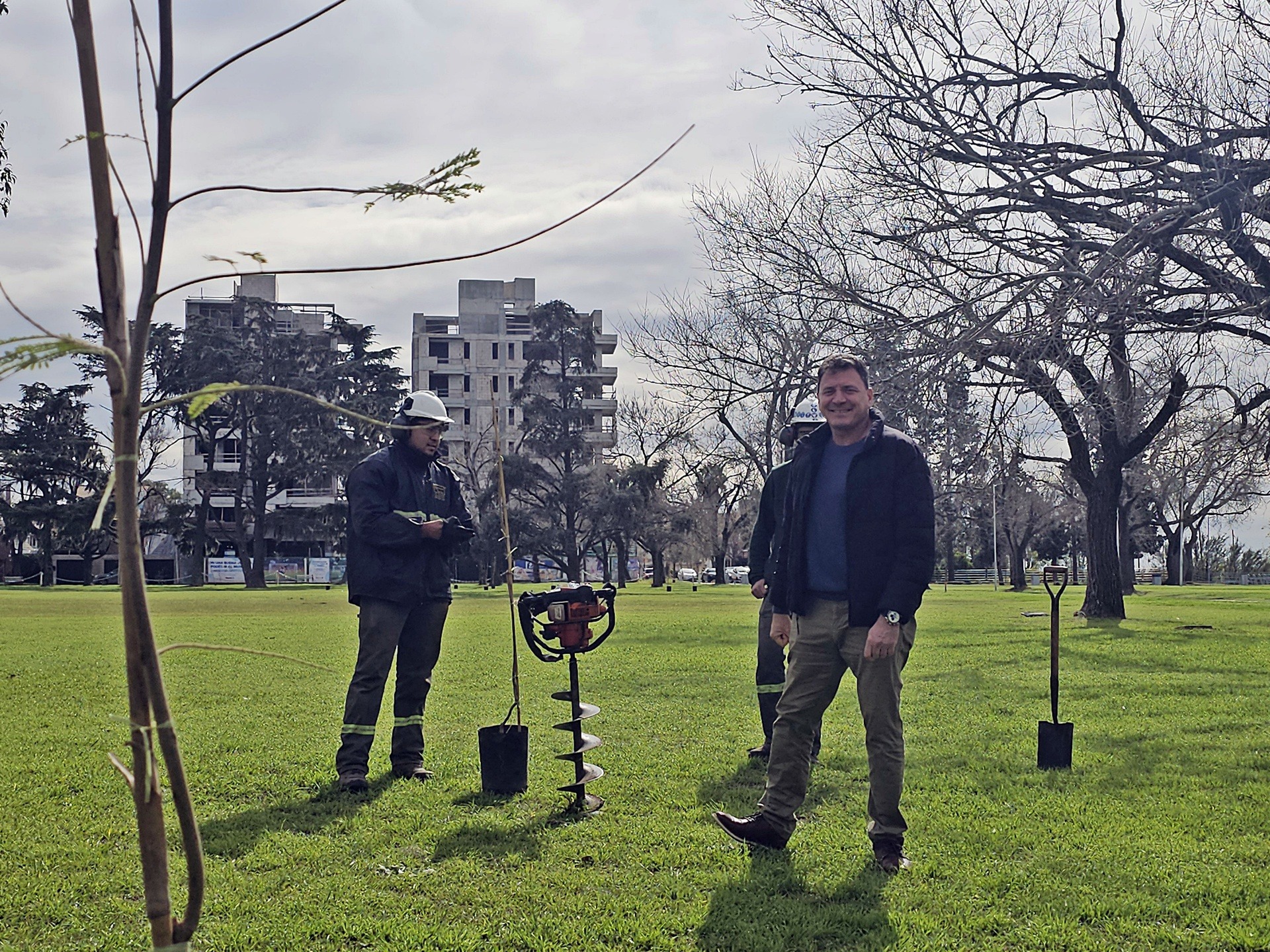La Municipalidad plantó un total de 120 nuevos árboles en el Campo de la Gloria