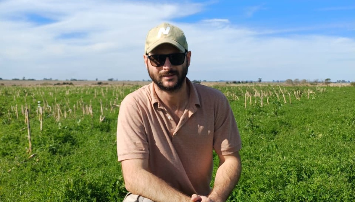 El rendimiento se construye: en Santa Fe y La Pampa, cimentaron las bases para muy buenos rindes