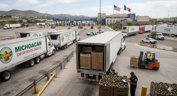Ante la suspensión  de EU a exportación de aguacate en Michoacán, México refuerza seguridad y propondrá plan de acción. C. Sheinbaum