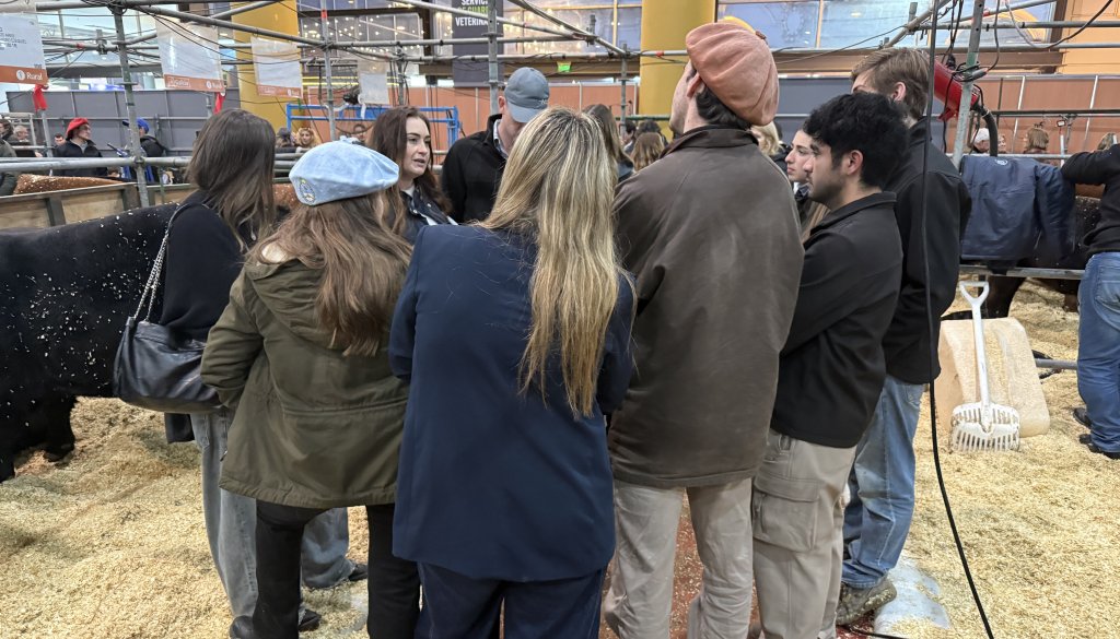 “¿Nuestra fortaleza? Tenemos pasión por la ganadería”: jóvenes ganaderos argentinos buscan dejar huella en Canadá