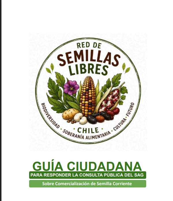 Participa en la consulta ciudadana del SAG sobre las semillas y su protección