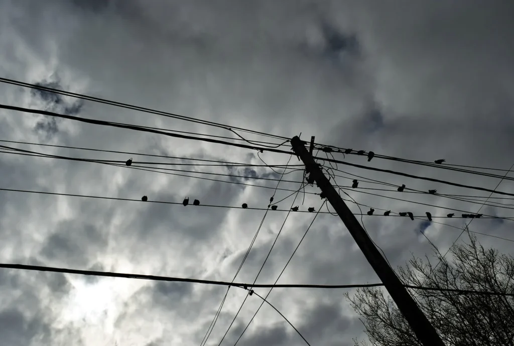 Viernes con posibles lloviznas en la mañana y a partir de la tarde el cielo estará nublado
