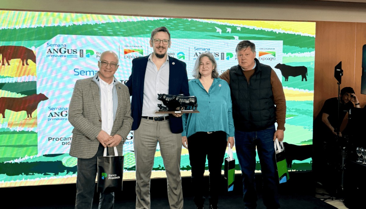 La genética bovina florecerá en Cañuelas con una nueva edición de la Semana Angus de Primavera