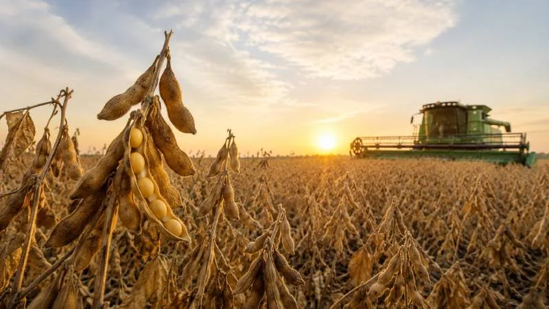 El agro liquidó en agosto un tercio más que en 2025: 2.750 millones de dólares