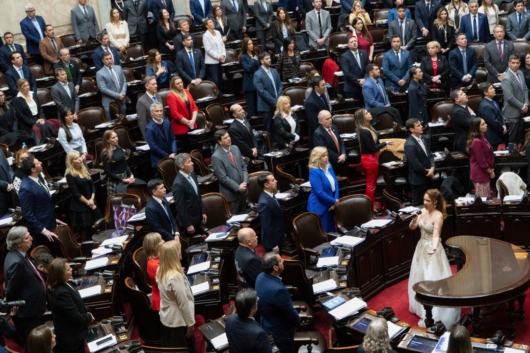 Diputados presentaron un proyecto para declarar la emergencia nacional en salud mental