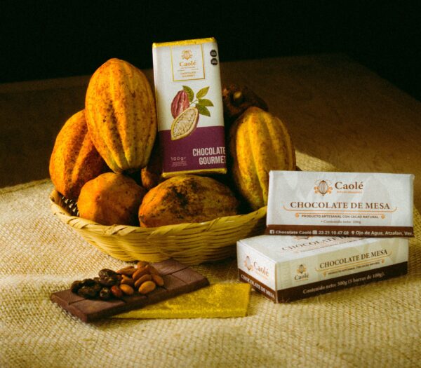 Cooperativas consolidan procesos de producción de cacao y su transformación en chocolate