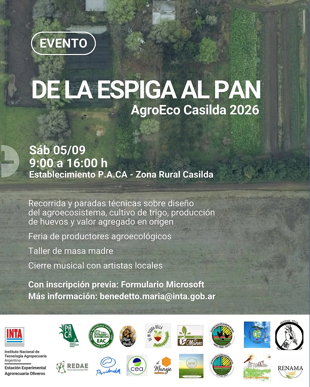 «De la espiga al pan» tiene nueva edición este sábado en Casilda: recorridas, experiencias y talleres de agroecología
