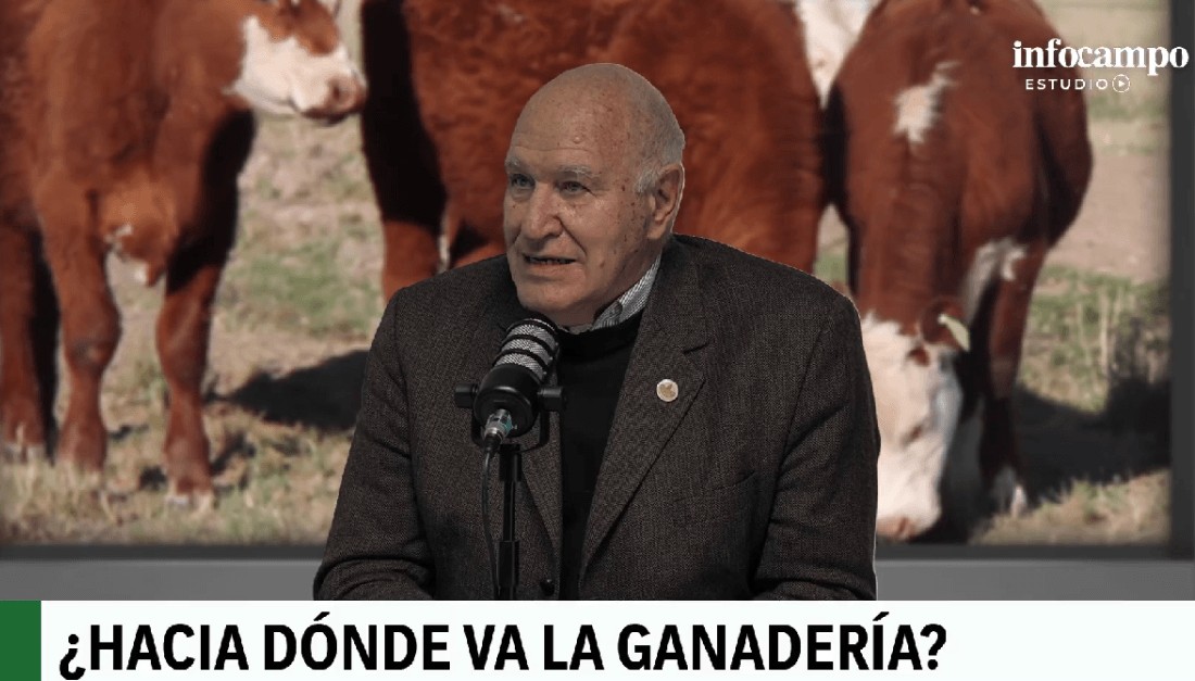 Víctor Tonelli: “La carne vacuna es cara y debe ser cara; no tiene otra forma de subsistir”