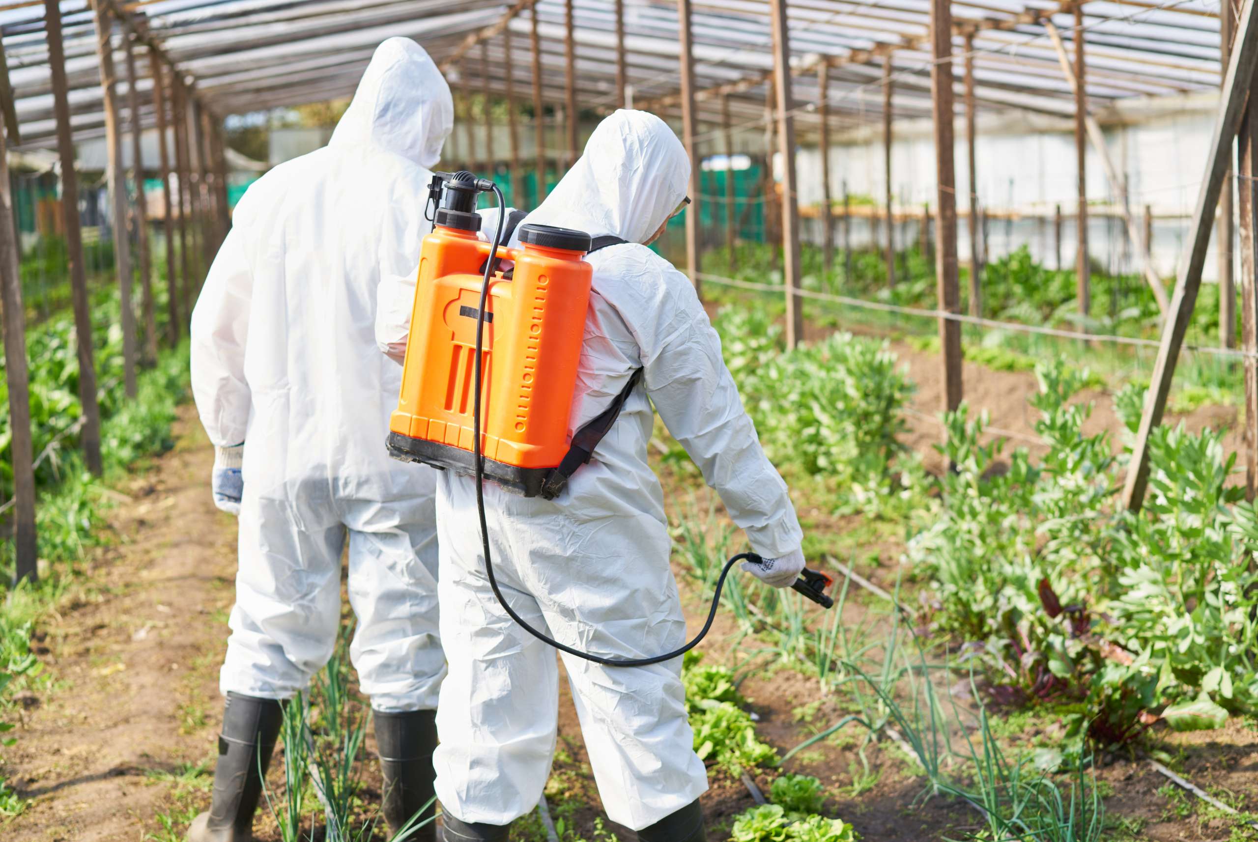 (Perú) Del campo a la mesa: TC ordena suspender cinco plaguicidas por fallas en el control alimentario