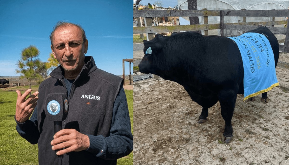 Del fútbol a los toros: Ramón Díaz, campeón como jugador, director técnico y también cabañero